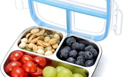 The Best Stainless Steel Lunch Boxes for Durability and Style