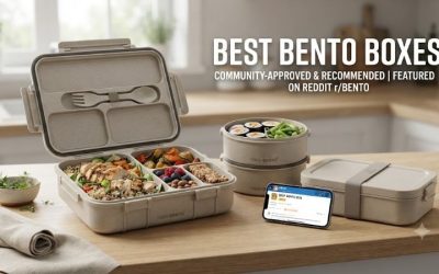 Best Bento Box Reddit: Top Rated Lunch Boxes Recommended