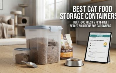 Best Cat Food Storage Containers: Top Fresh Keeper Sets