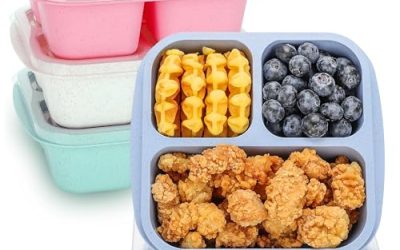 Best Meal Prep Containers for Kids’ School Lunches