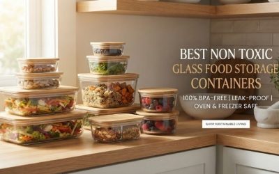 Best non toxic glass food storage containers: Safe Picks