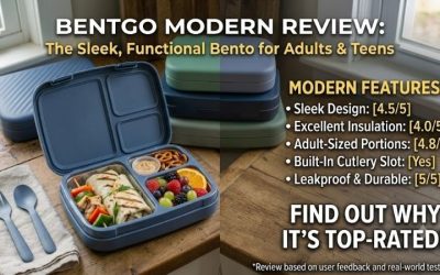 Bentgo Modern Review: Top Sleek Adult Lunch Box Features