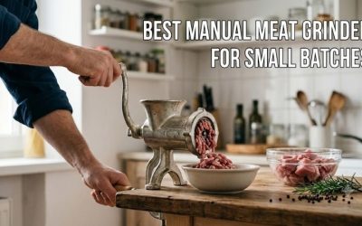 Best manual meat grinder for small batches: Top picks