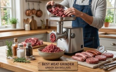 Best meat grinder under 300 dollars: Top picks