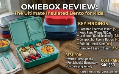 OmieBox Review: Top Hot and Cold Bento Lunch Box Features