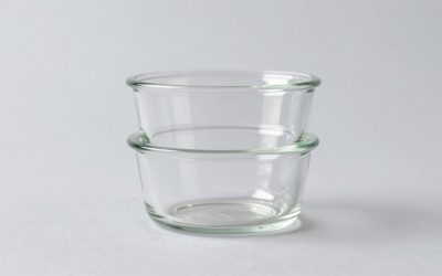 Best 2 Compartment Glass Containers for Portion Control in 2026: Compared and Ranked