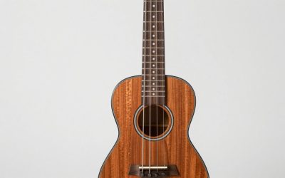 Best Banjo Ukuleles for Beginners and Experienced Players