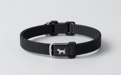 Best Dog Training Collars