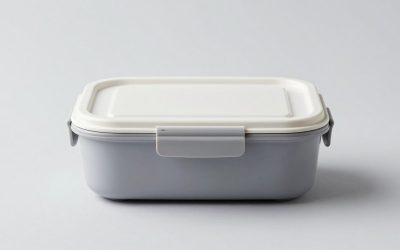 Best Heated Meal Prep Lunch Box for Truck Drivers in 2026: Compared and Ranked