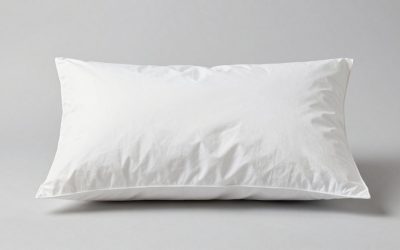 Best Pillows for Back Sleepers