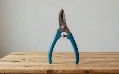 Best Poultry Shears for Cutting Through Turkey Joints: 7 Picks