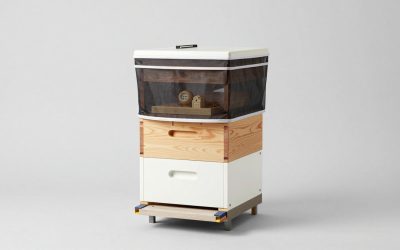 Best Premium Multi-Hive Beekeeping Kits