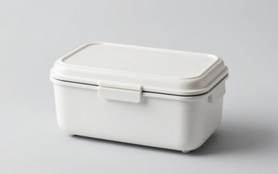 Electric Lunch Box vs Cordless Self Heating Food Container: Which Is Right for Your Home (2026)