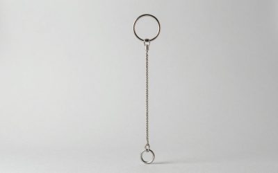 How to Get Unicorn Lasso in Raise Animals