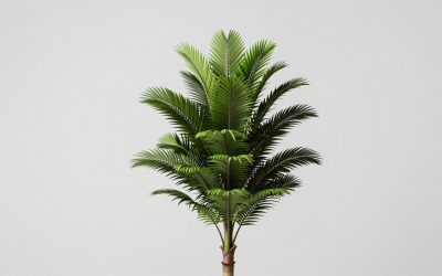 Plants vs Brainrots Christmas Guide: Which Is Better?