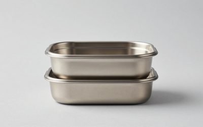 Stainless Steel Meal Prep Containers vs Glass Bento Boxes: Which Is Right for Your Home (2026)